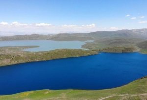 Abşeronda gölməçədə qadın meyiti tapıldı