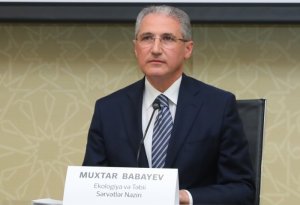 Muxtar Babayev COP29-dan danışdı