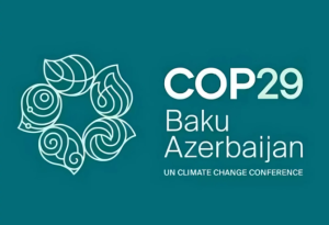 COP29-la bağlı saxta xəbərlər yayan 15 resurs bağlanılıb