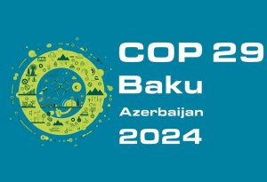 Ekspert: COP29-dan yeni iqlim maliyyəsi hədəfləri üzrə irəliləyiş gözləyirəm