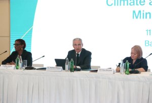 Bakıda Pre-COP29 konfransına yekun vuruldu