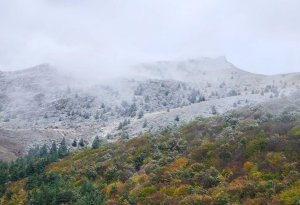 Laçın ağ örpəyə büründü -FOTOLAR