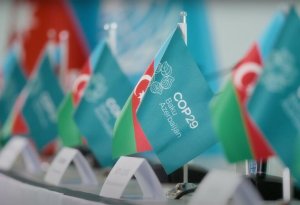 
Türkiyədən COP29-a necə nəfər gəlib? -Nazir AÇIQLADI