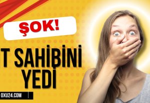 Bakıda dəhşət! İt sahibini yedi