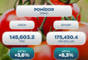 Xarici bazarlara pomidor ixracındanə qədər   artım   olub?