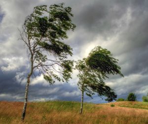 Milli Hidrometeorologiya Xidməti küləklə bağlı xəbərdarlıq etdi