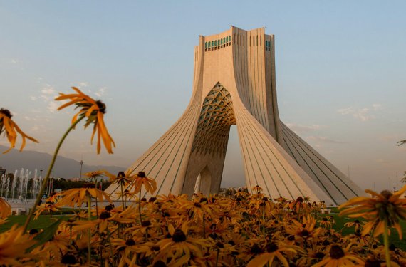 İranda meymunçiçəyi şübhəsi: 9 nəfərdən analiz götürülüb