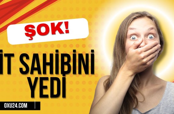 Bakıda dəhşət! İt sahibini yedi