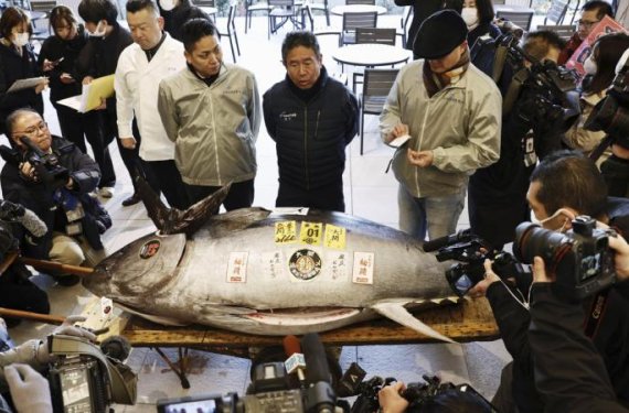 Yaponiyada mavi üzgəcli tuna balığı 1,3 milyon dollara satılıb