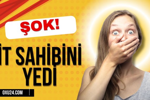 Bakıda dəhşət! İt sahibini yedi