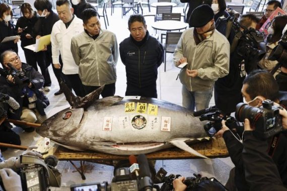 Yaponiyada mavi üzgəcli tuna balığı 1,3 milyon dollara satılıb