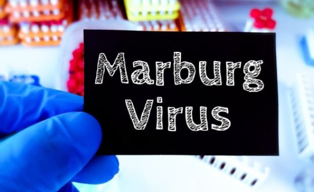 Afrikada ölümcül virus epidemiyası: yoluxanların demək olar ki, 90%-i ölür