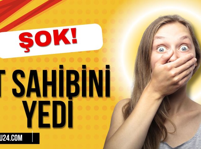 Bakıda dəhşət! İt sahibini yedi