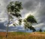 Milli Hidrometeorologiya Xidməti küləklə bağlı xəbərdarlıq etdi