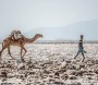 Yeni qitə yaranır: Tarix bəllidir -Alimləri şoka salan fəlakətin FOTOLARI