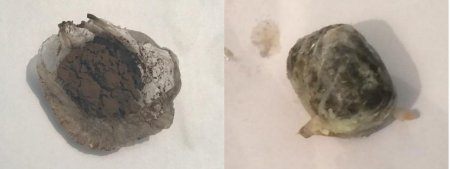 Təcridxanaya narkotik maddənin keçirilməsinin qarşısı alınıb