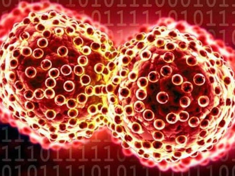 Məşhur alim xərçəngin yaranma SƏBƏBİNİ AÇDI: “Dövlət liderləri illərlə bunu gizlətdi ki...”