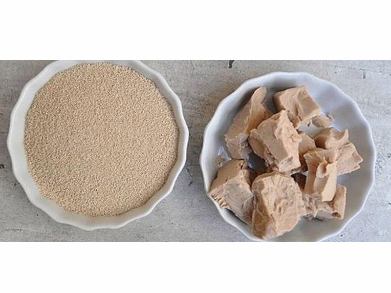 Bu çörək ziyandır - MÜTƏXƏSSİS XƏBƏRDARLIQ EDİR