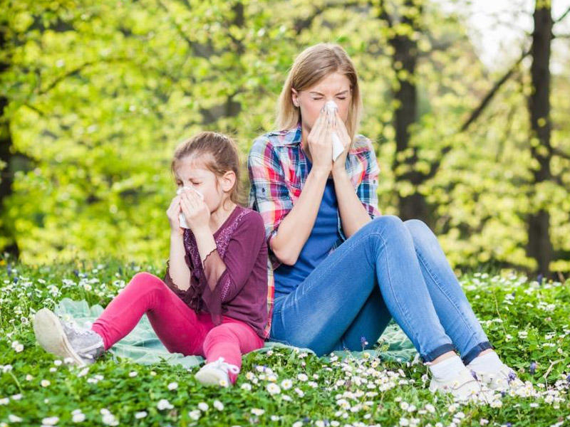 Allergiyadan əziyyət çəkirsiniz? - Bunu mütləq oxuyun