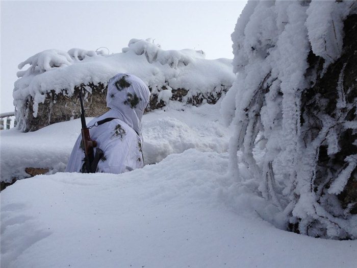 Donvurmadan ölən əsgər şəhid sayılırmı?