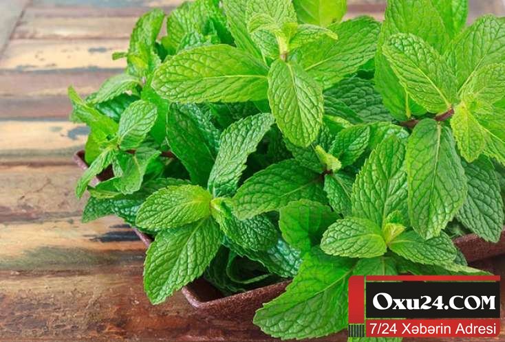 Həzm problemləri olanların NƏZƏRİNƏ - MÜTLƏQ OXUYUN