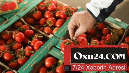 Türkiyə pomidorları Rusiyaya qayıdır