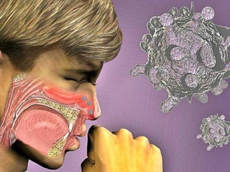 Burundan çıxan qalıqları atmayın - Alimlərdən MARAQLI KƏŞF