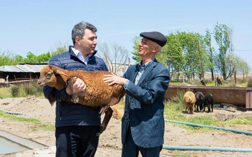 “Azərbaycanda nazirdən quzu iyi gələr...” - Hamı bu fotodan danışır