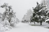 Azərbaycanın dağlıq ərazilərində qar yağıb - FAKTİKİ HAVA