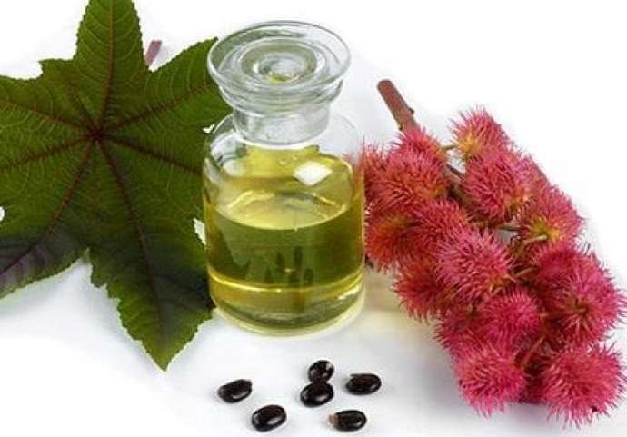 Gənəgərçək yağının faydaları