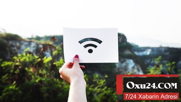“Wi-Fi”nin təbiətə ziyanı sübut edildi