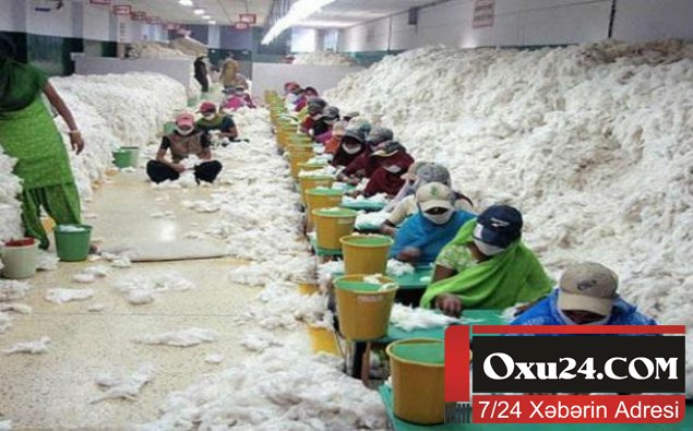 Dünyada 25 milyon insan kölə kimi yaşayır