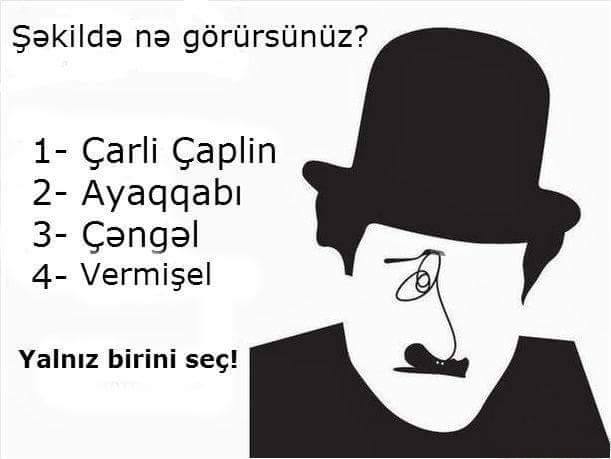 Şəklə baxanda ilk olaraq nə görürsünüz? -