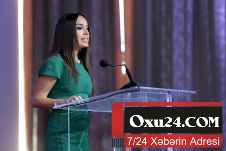 Leyla Əliyeva sahibsiz itlərə görə 7 şəxsi işdən azad etdi