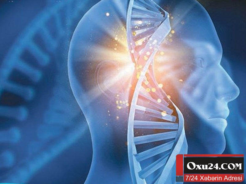 Hüceyrələrimiz davamlı yenilənirsə niyə yaşlanırıq?