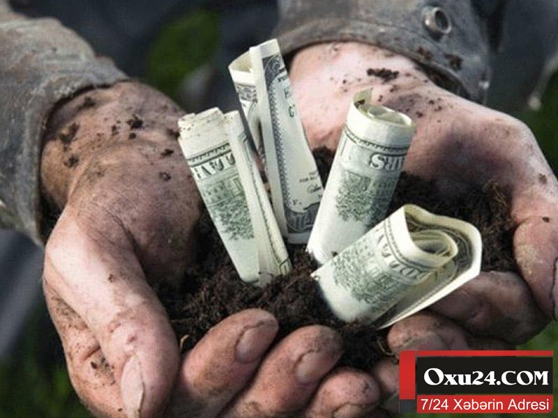 Hansı pullarda daha çox mikrob var? – ARAŞDIRMA