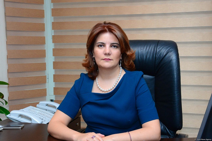 APA niyə bağlanıb?- AÇIQLAMA