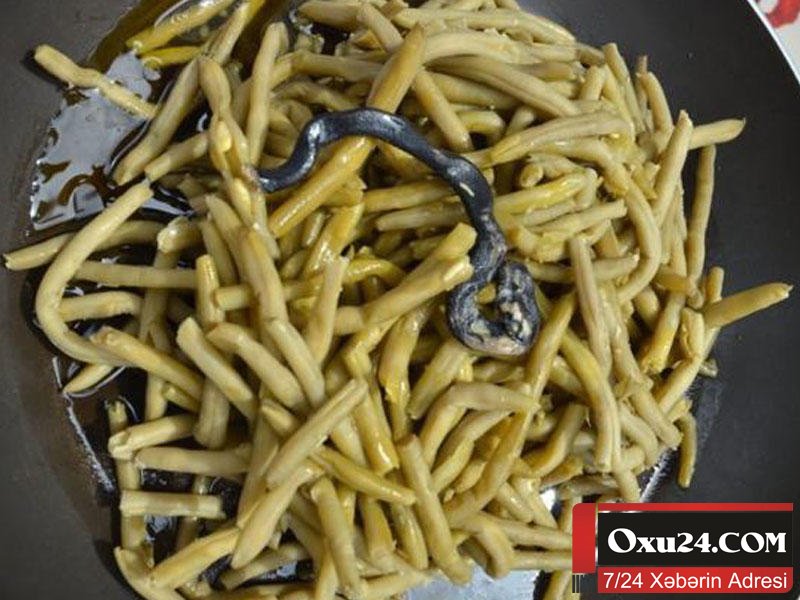 Makaron konservindən ilan ölüsü çıxdı -