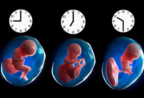 Doğulduğunuz saatın gələcək həyatınıza BİLMƏDİYİNİZ TƏSİRİ - BU TESTİ YOXLAYIN!