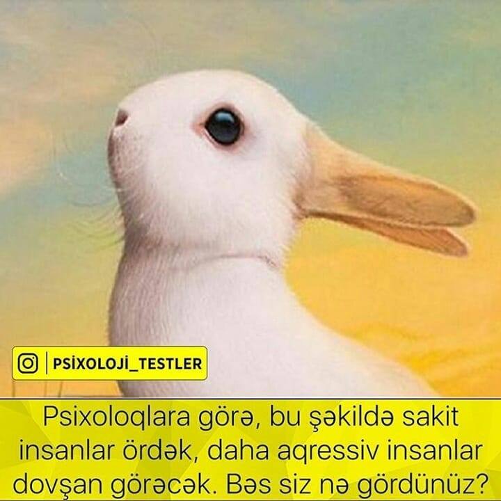 Siz ilk nə gördüz? - PSİXOLOJİ TEST
