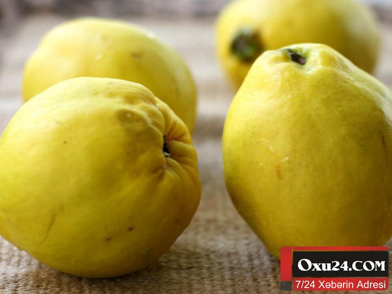 Heyvanın 1001 faydası