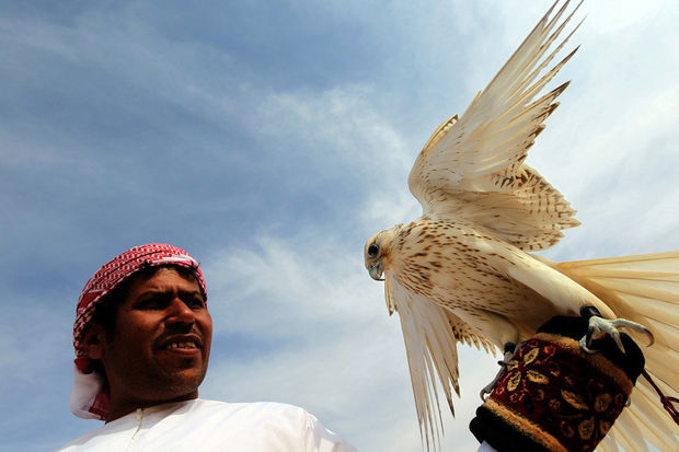 Ərəb turist  “Qırmızı kitab”a düşmüş  quşu öldürdü - Polisə aparıldı