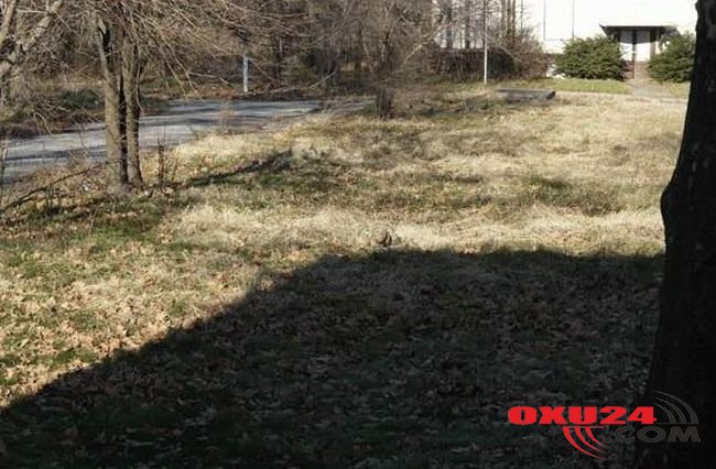 Fotoda gizlənmiş əsgəri görürsünüzmü? - MARAQLI TEST