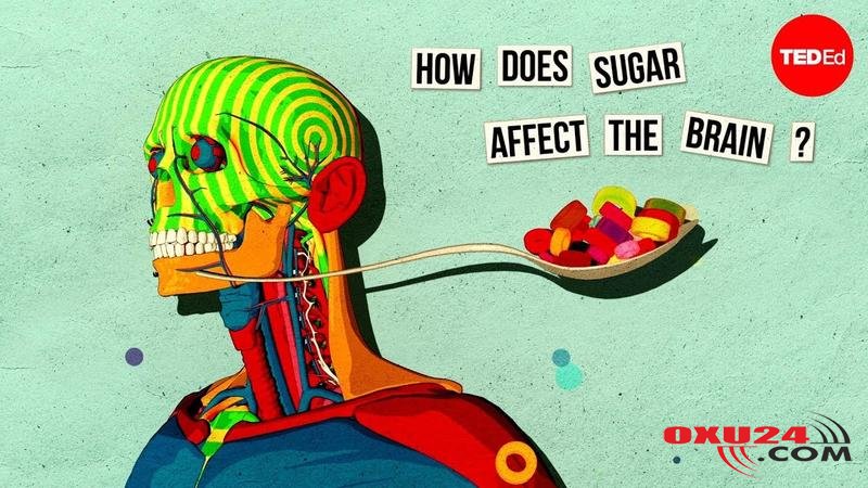 Beyni 4 gün ərzində pozan qidalar