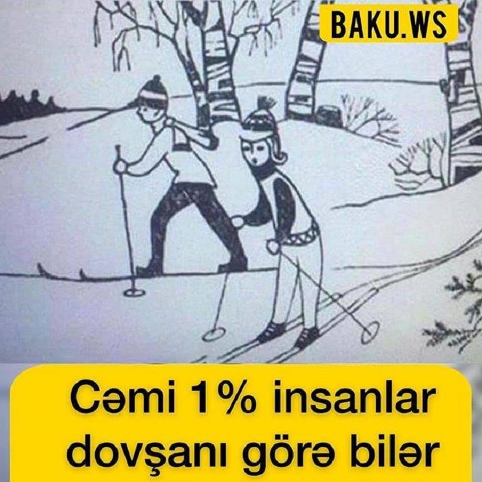 Fotoda dovşanı kim tapdı? - DİQQƏTLƏ BAXIN!