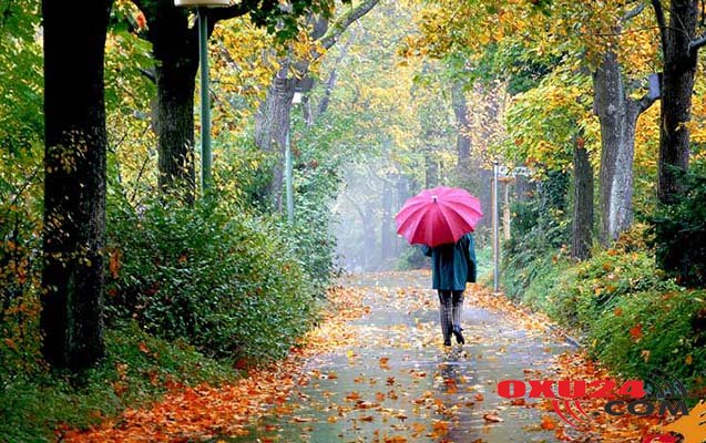 Sabahın havası - Yağış, qar yağacaq