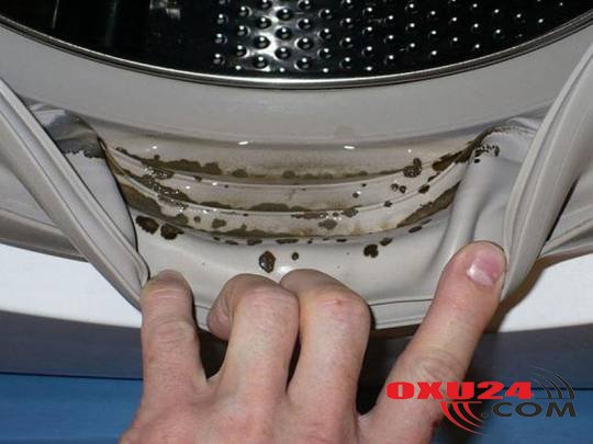 Paltaryuyan maşını kifdən qorumağın ən sadə üsulu