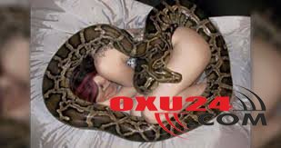 Hər gecə ilanla yatan qız həyatının şokunu yaşadı - Bir gecə piton...