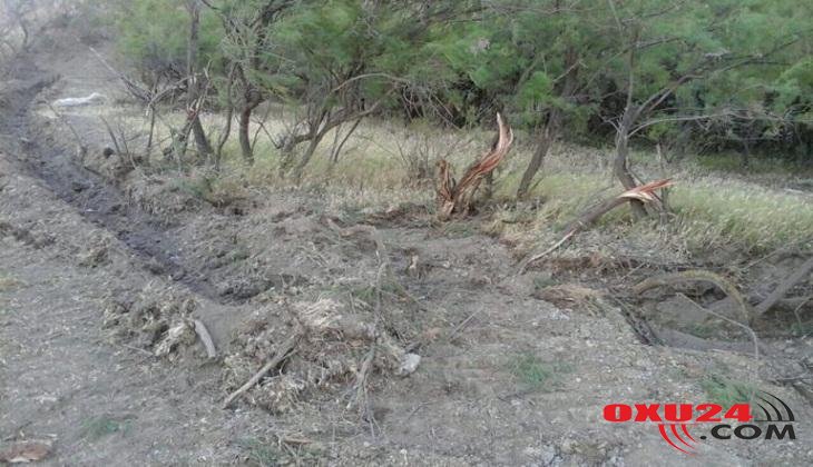 Kolları məhv edən şəxs 32 min manat cərimələnib