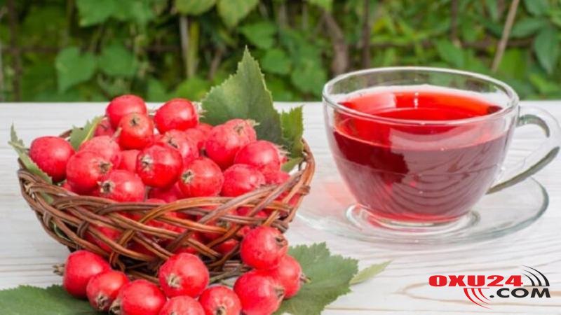 Ürəyi cavan saxlayan MÖCÜZƏVİ YEMİŞAN ÇAYI